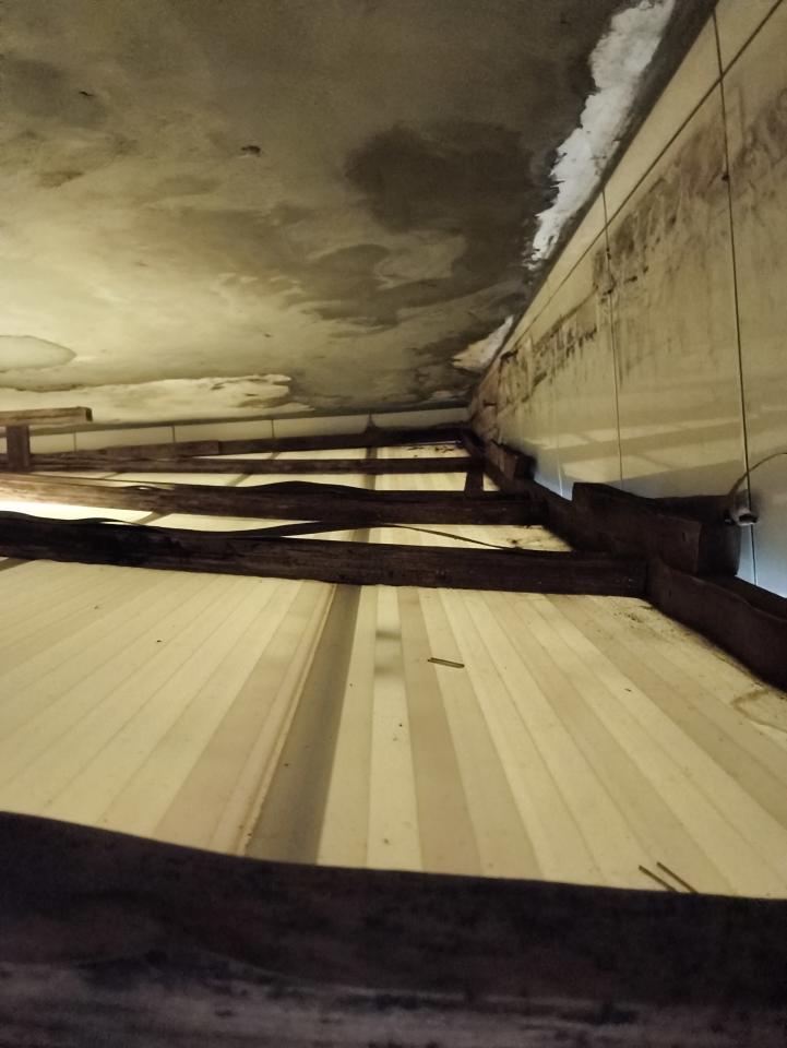 浴室翻新案件圖片