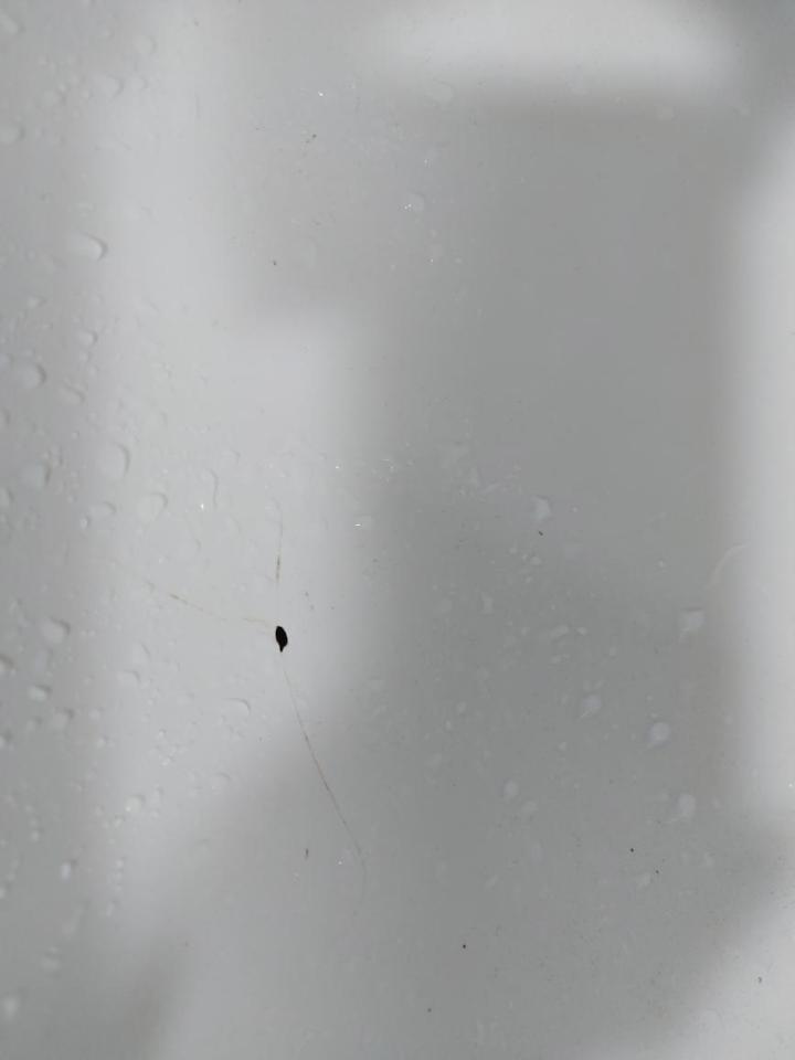 洗臉盆裝修案件圖片