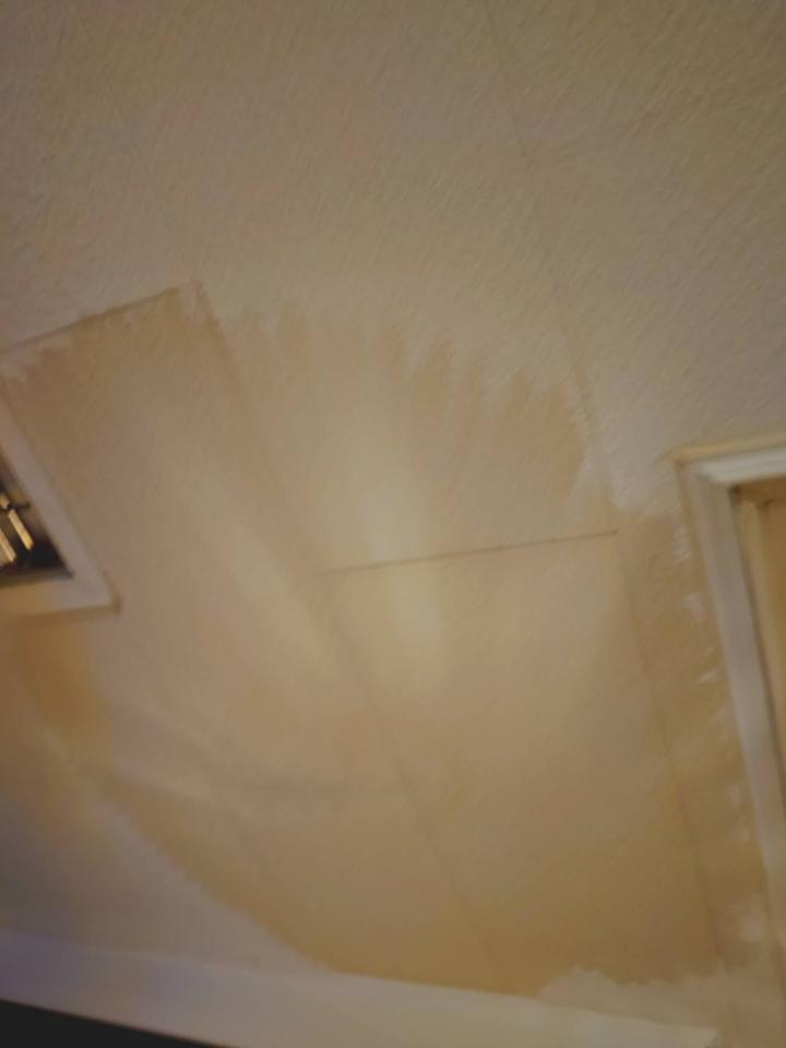 漏水處理案件圖片