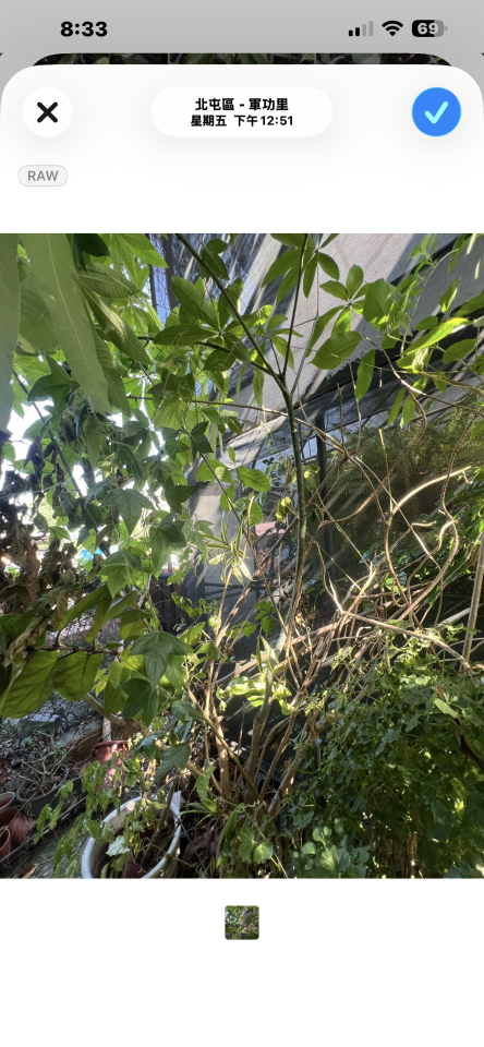 載貨運輸服務案件圖片