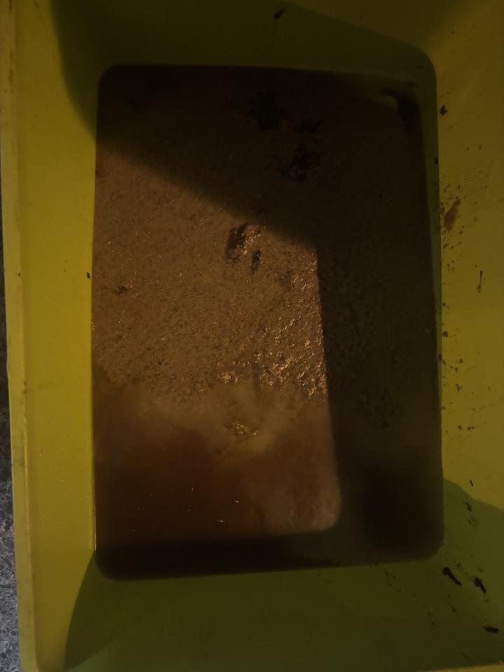 廚餘回收案件圖片