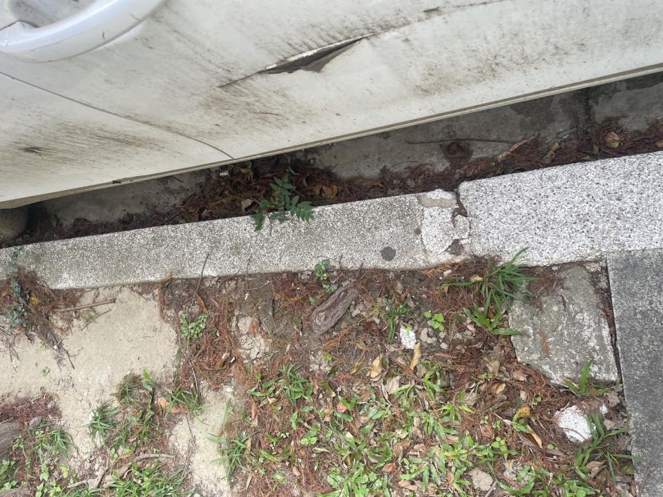 泥作/水泥施工案件圖片