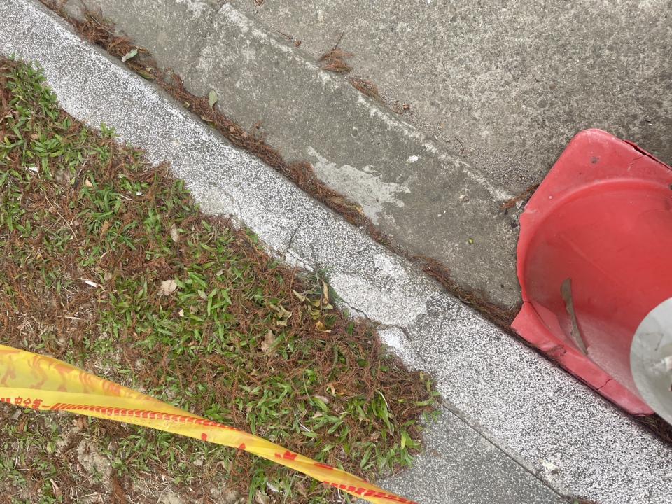 泥作/水泥施工案件圖片