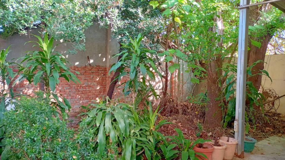 園藝維護案件圖片