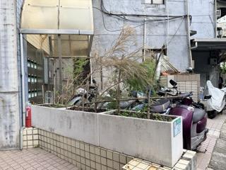 園藝設計案件圖片