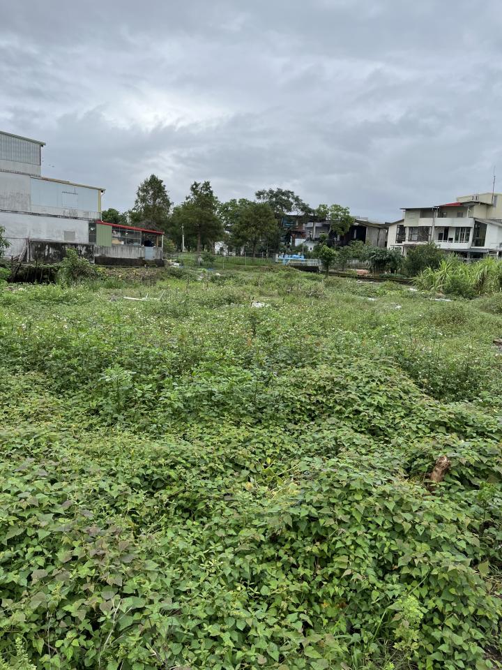 圍籬工程案件圖片