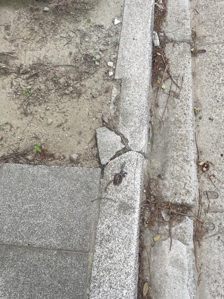 泥作/水泥施工案件圖片