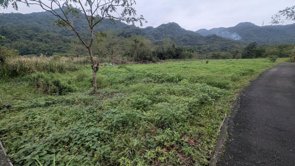 園藝維護案件圖片