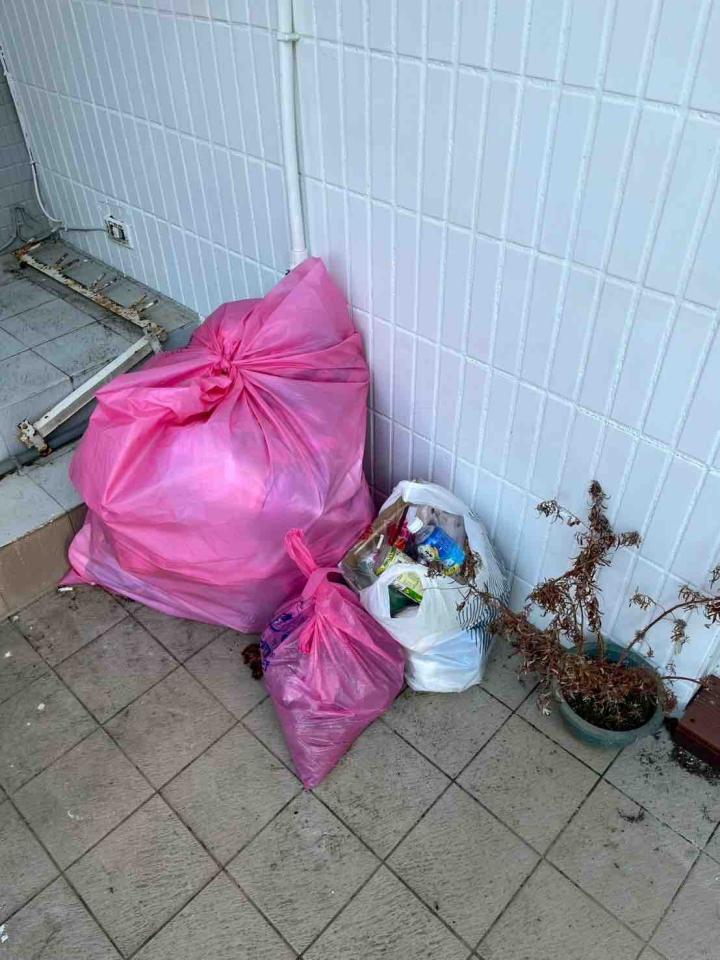 大型垃圾回收案件圖片