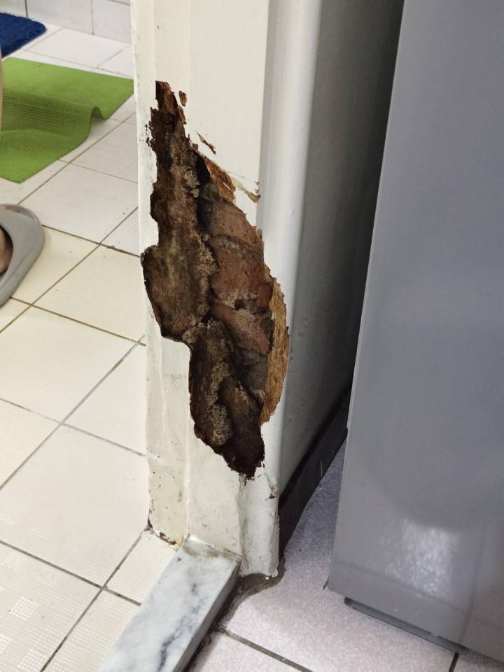 泥作/水泥施工案件圖片