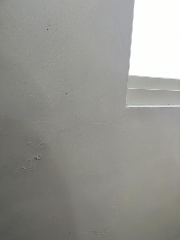 壁癌處理案件圖片