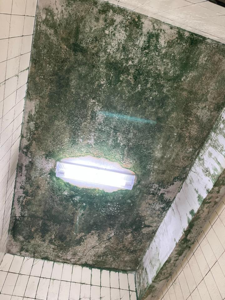 浴室抽風機安裝案件圖片