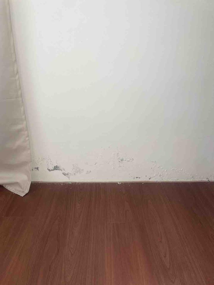 壁癌處理案件圖片