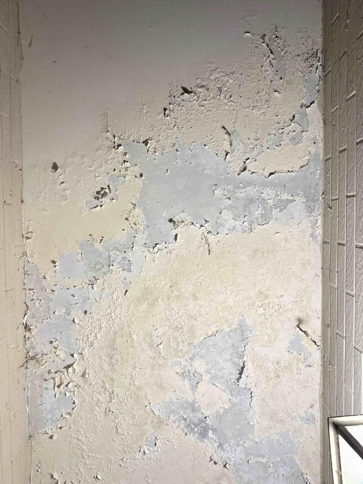 油漆工程案件圖片