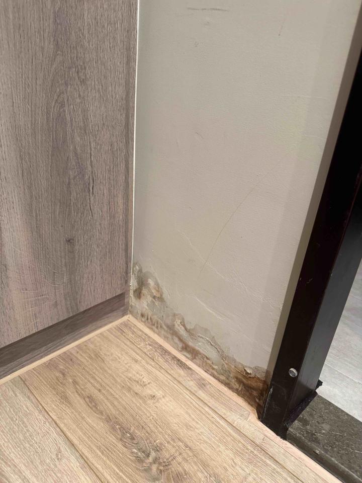 油漆工程案件圖片