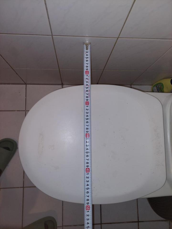馬桶裝修案件圖片