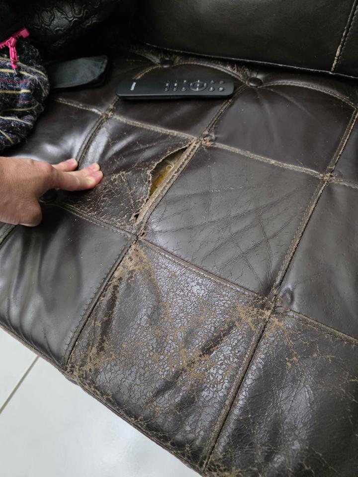 沙發修理案件圖片