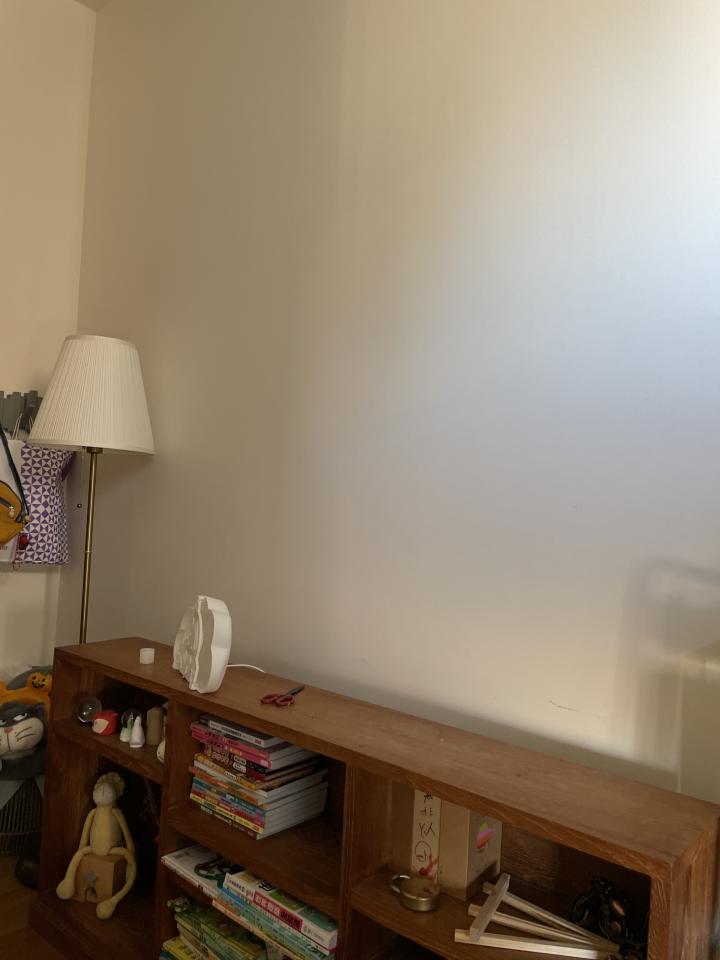 燈具安裝案件圖片