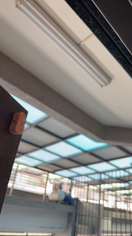 拉網路線案件圖片