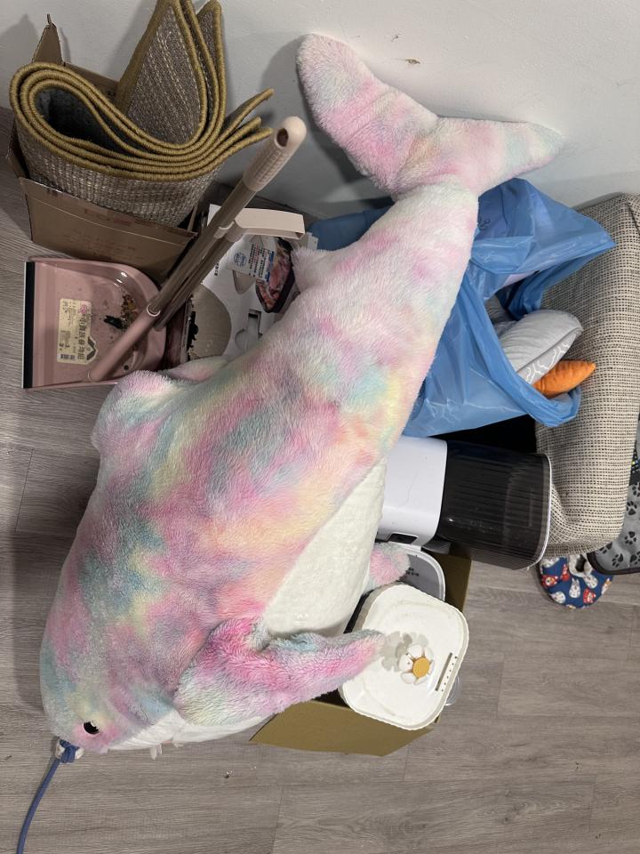 代收垃圾案件圖片