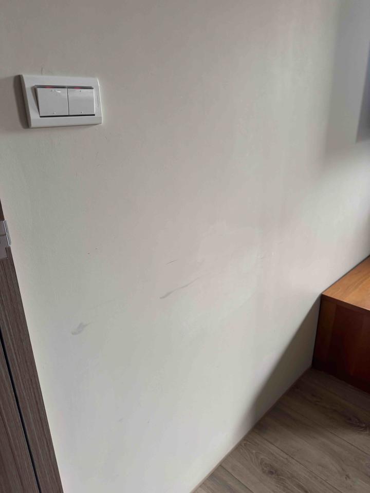 油漆工程案件圖片