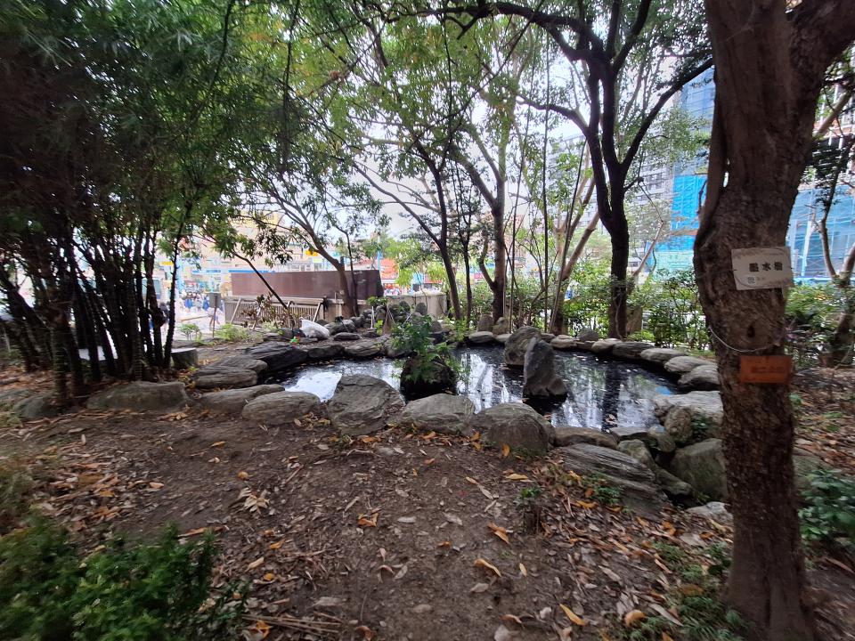 園藝維護案件圖片