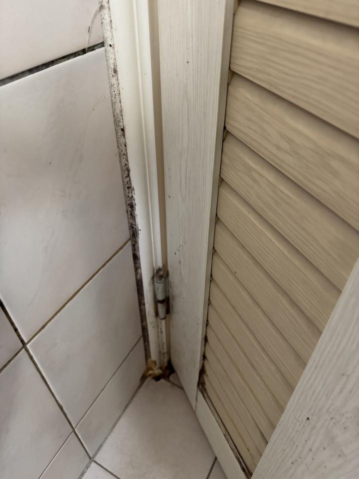 木工施工案件圖片