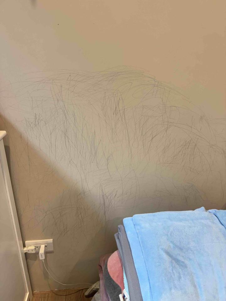 油漆工程案件圖片