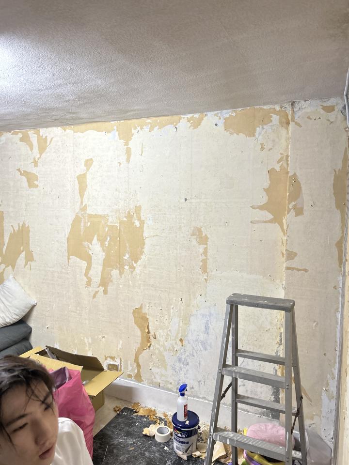 壁紙清除案件圖片