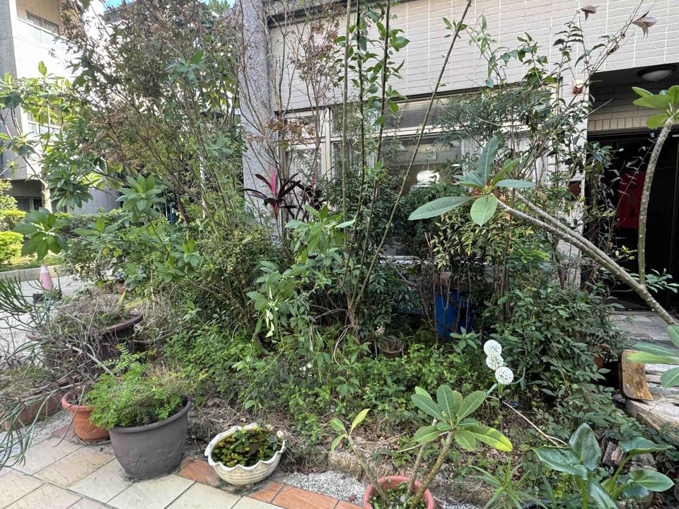 園藝設計案件圖片