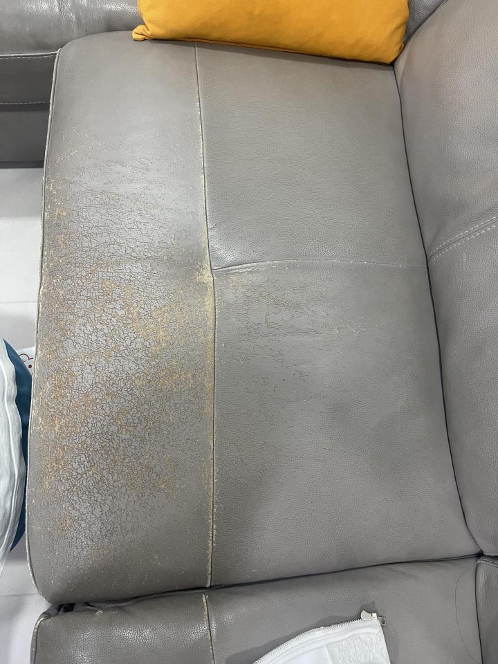 沙發修理案件圖片