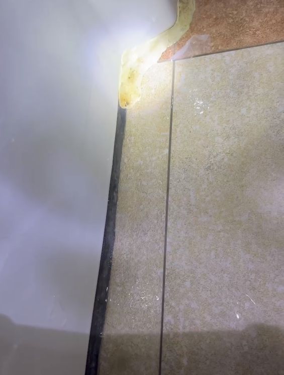 馬桶裝修案件圖片