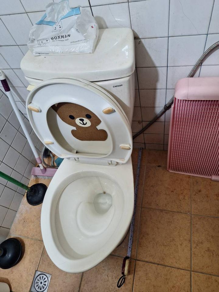 馬桶裝修案件圖片