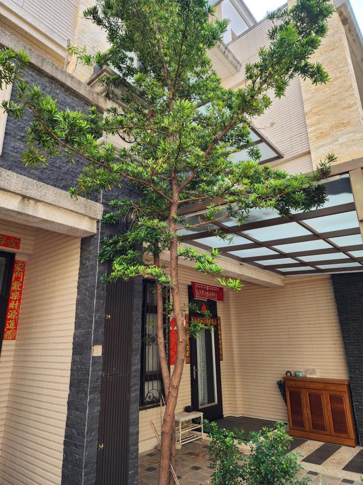 園藝維護案件圖片