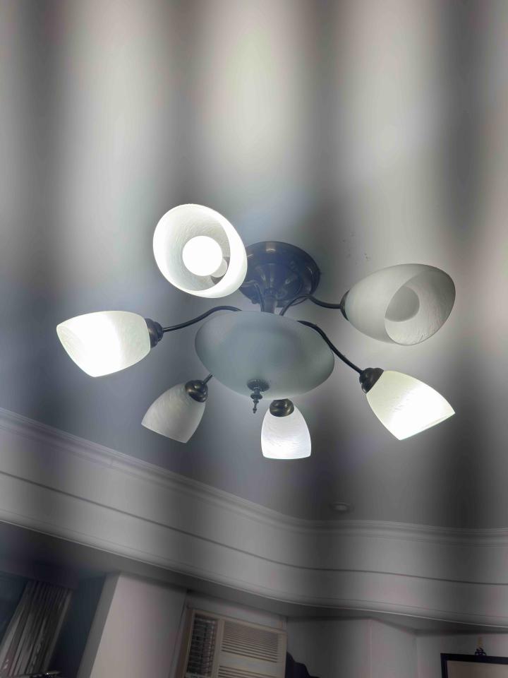 燈具安裝案件圖片