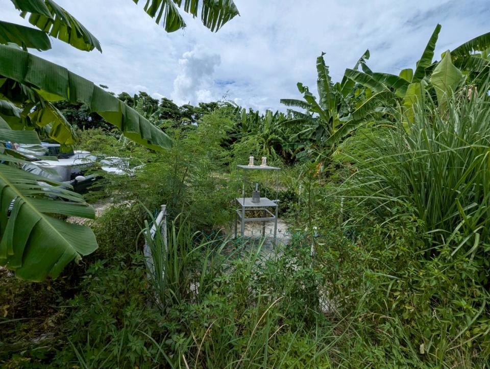 拆除工程案件圖片