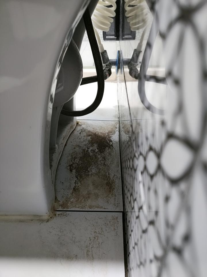 馬桶裝修案件圖片