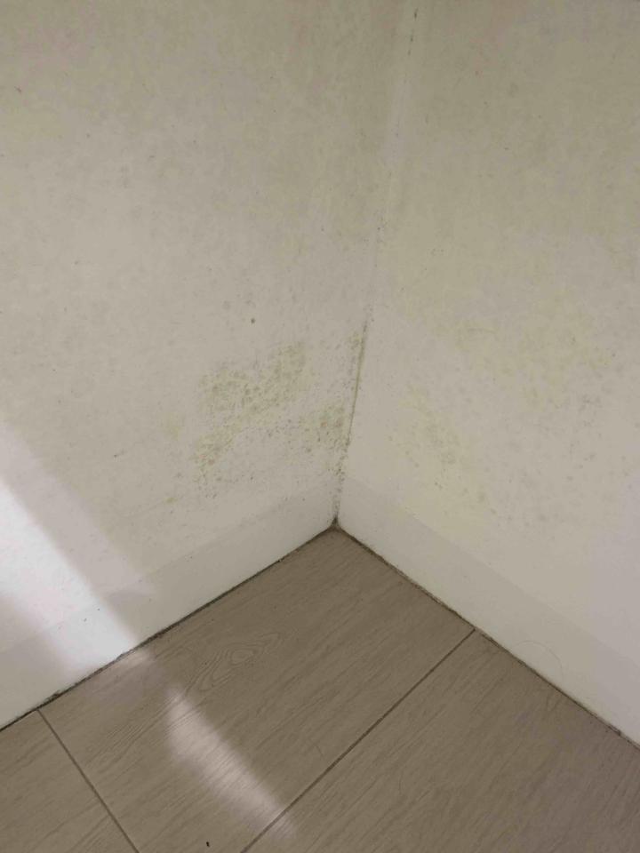 搬家清潔案件圖片