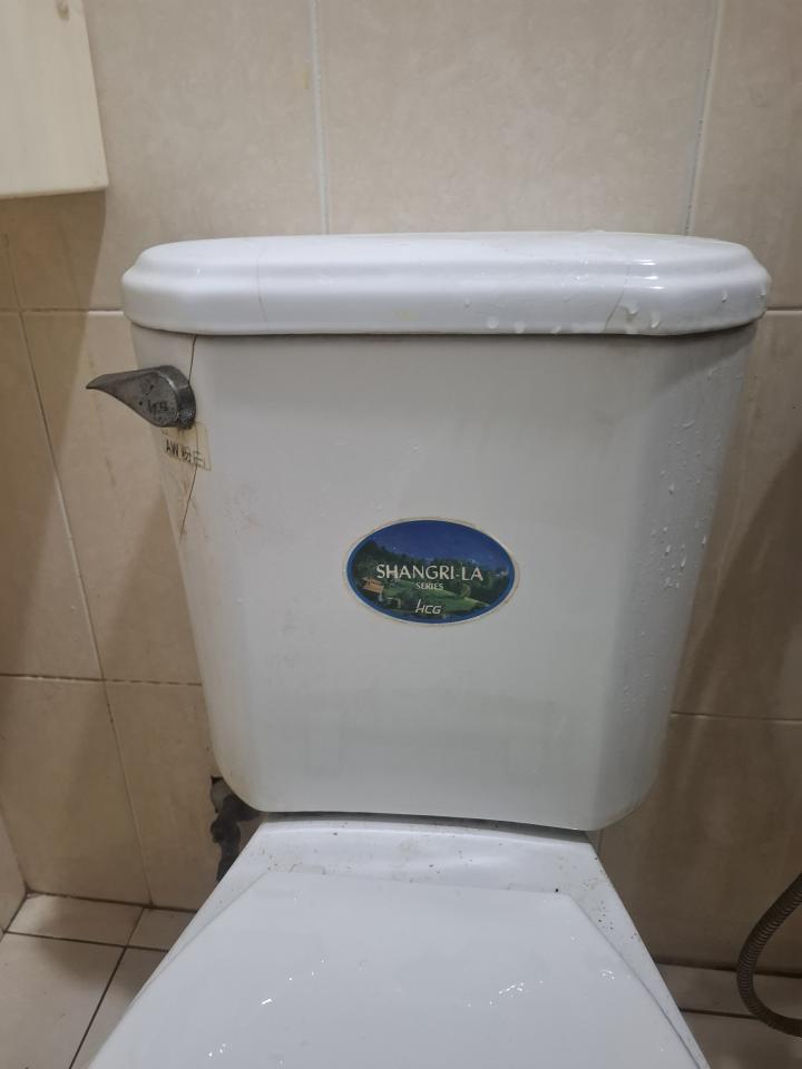 馬桶裝修案件圖片