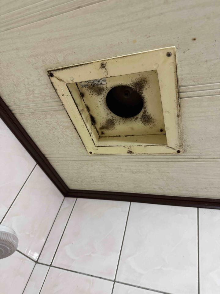 馬桶裝修案件圖片