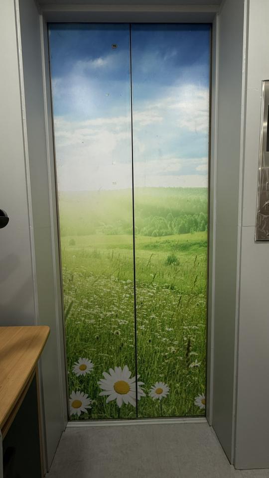 波音軟片施工案件圖片