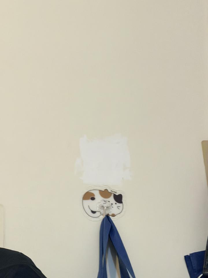 油漆工程案件圖片