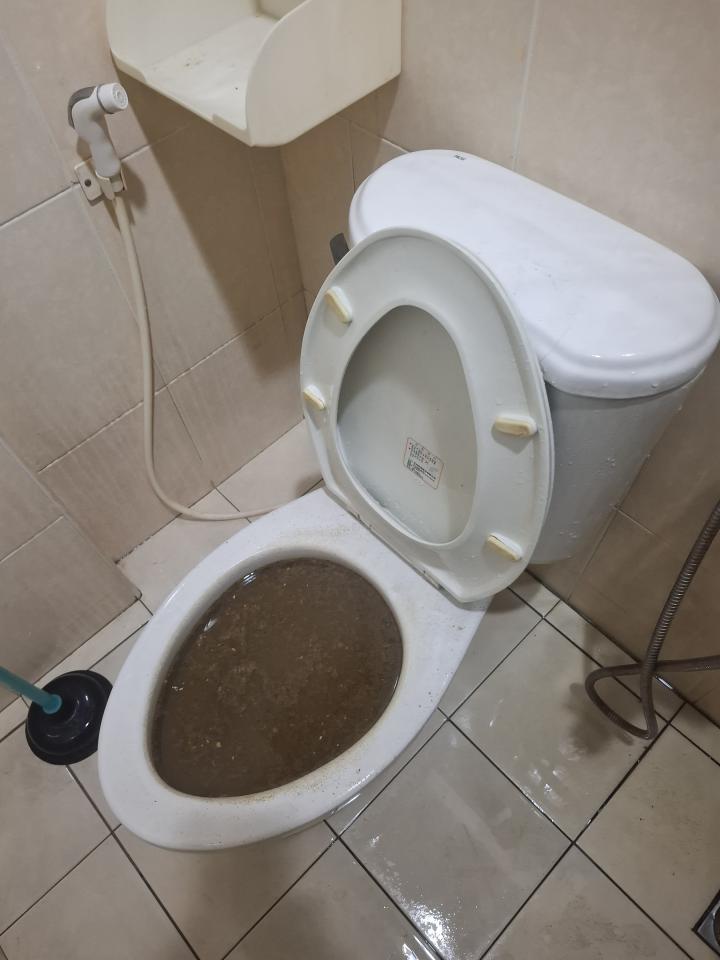 馬桶裝修案件圖片