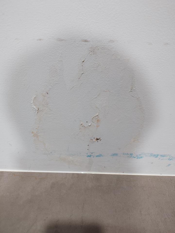 漏水處理案件圖片