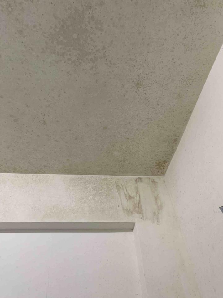 搬家清潔案件圖片