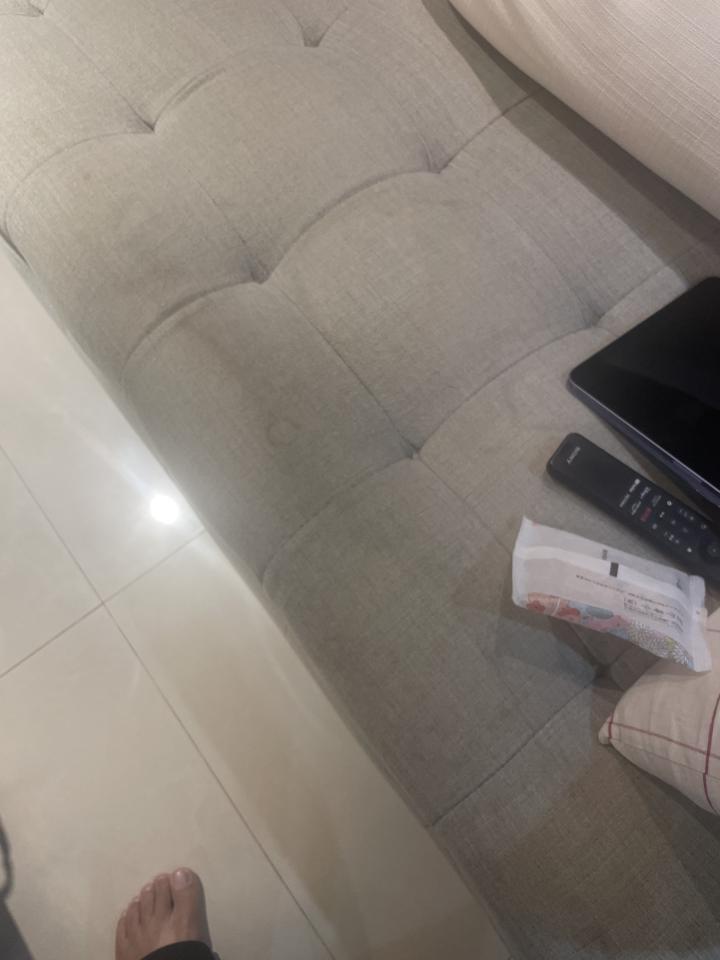 沙發清潔案件圖片