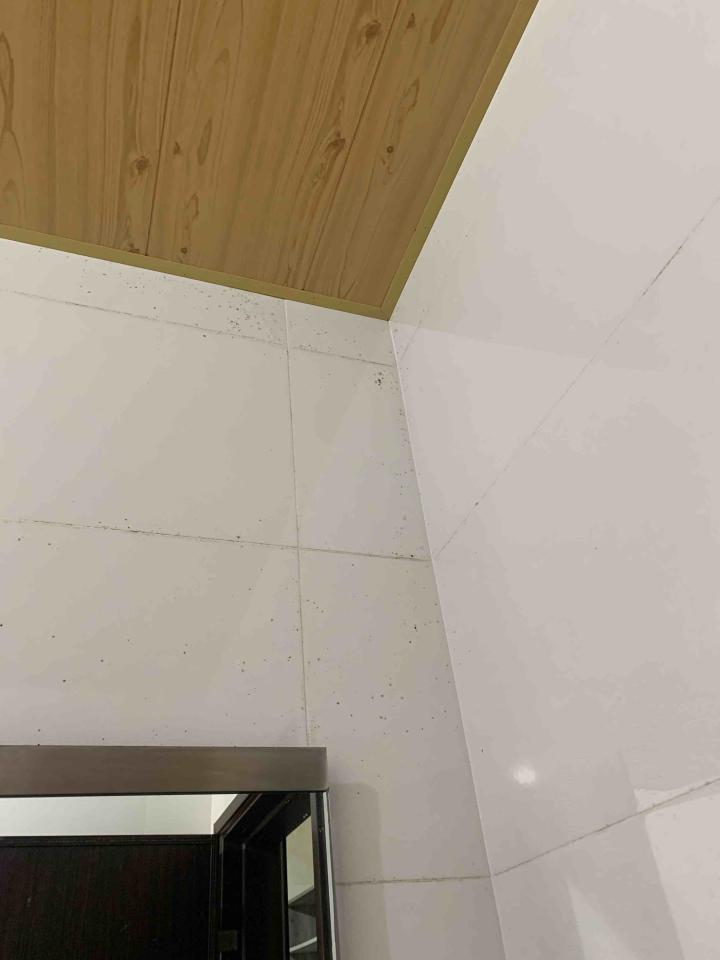 搬家清潔案件圖片