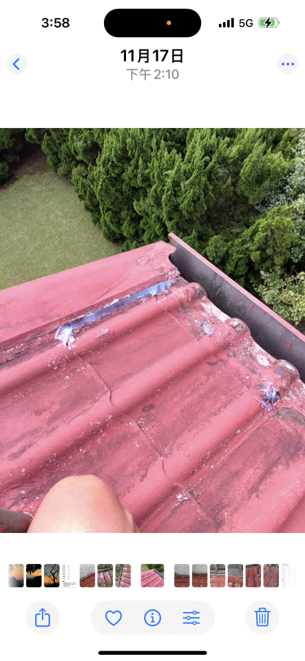 鐵皮屋頂案件圖片