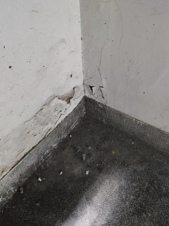 泥作/水泥施工案件圖片