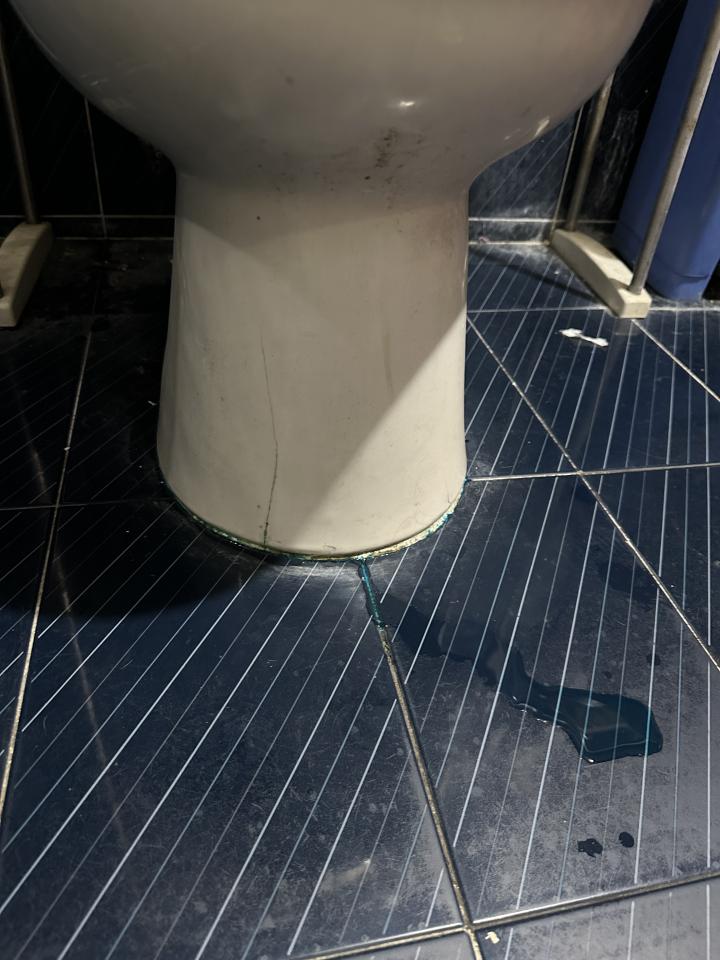 馬桶裝修案件圖片